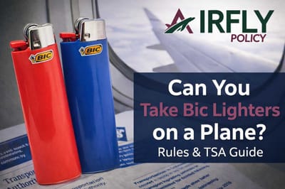 Can You Take Bic Lighters on a Plane? Rules & TSA Guide