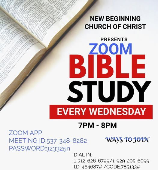 Bible Study Groups