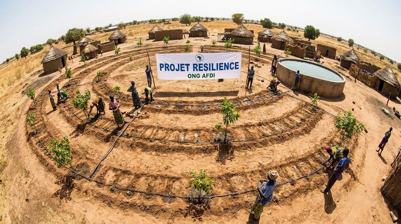 PROJET RESILIENCES