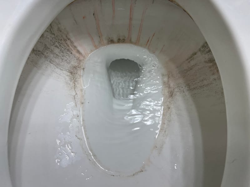 Mold in toilet or tank