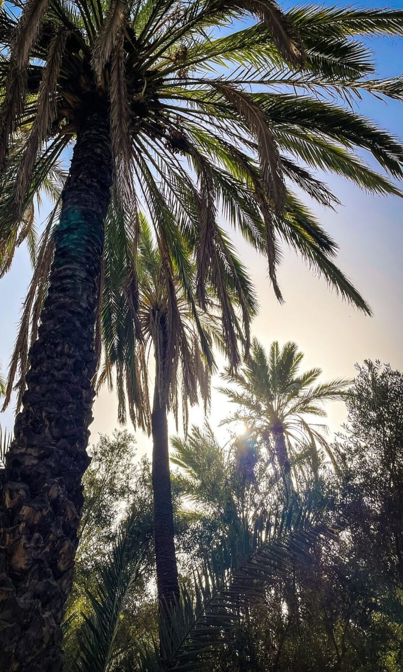 Hike Through Paradise Valley