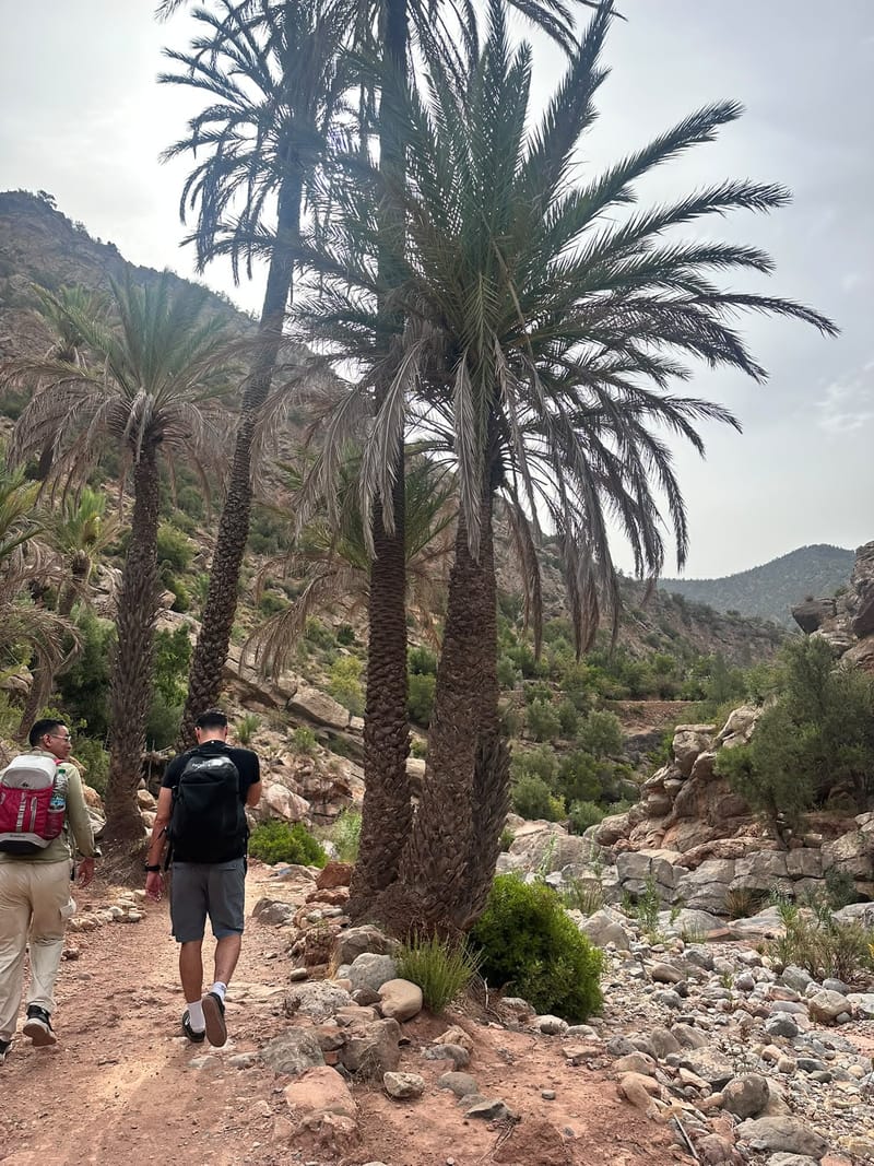Day 2 – Hidden Valleys, Local Life & Argan Oil