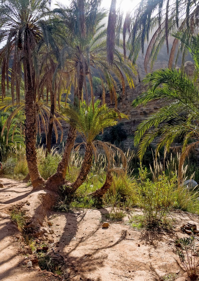 Swim in Natural Pools & Enjoy Moroccan Nature