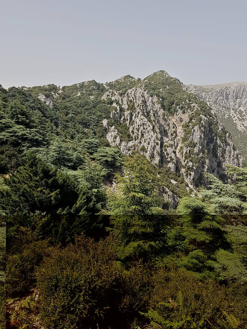 Enjoy Panoramic Views from El Gouz Summit