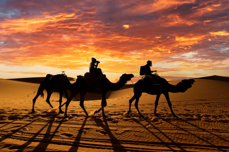 Camel Riding Through the Timlaline Desert