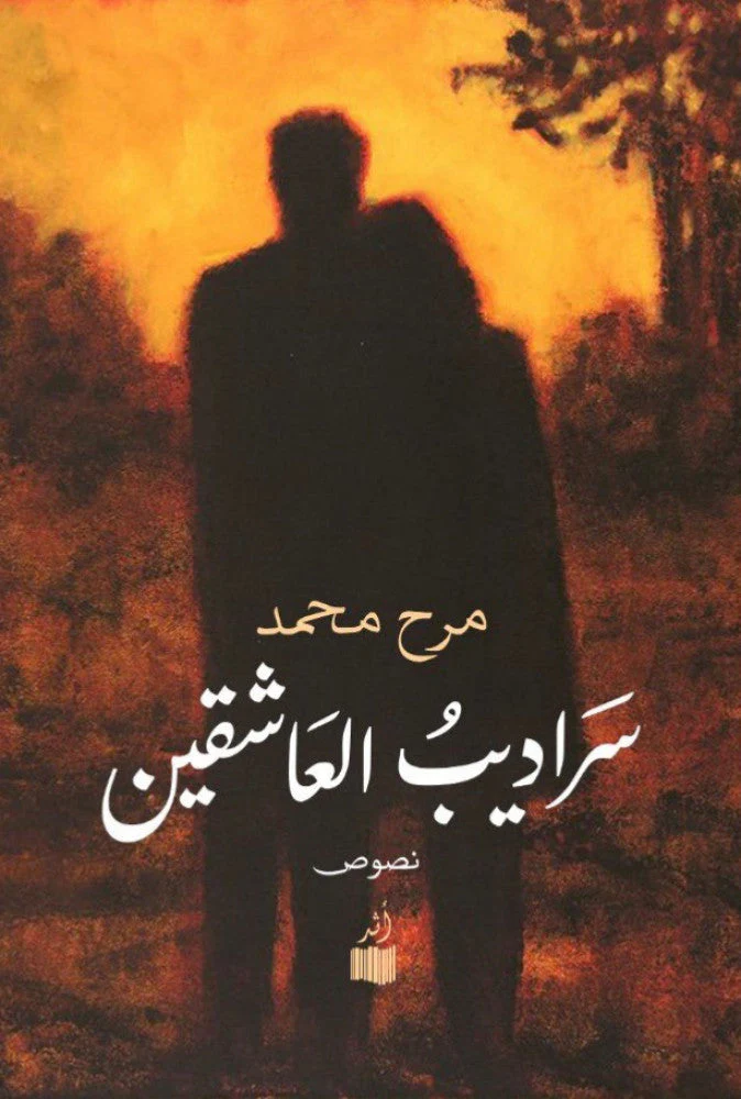 بين الغموض والبوح: لماذا يجب أن تقرأ رواية "سراديب العاشقين" الآن؟