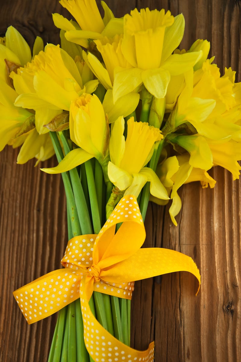 Please give a little and Donate.