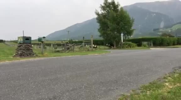 Book Your Adventure Today thumbnail