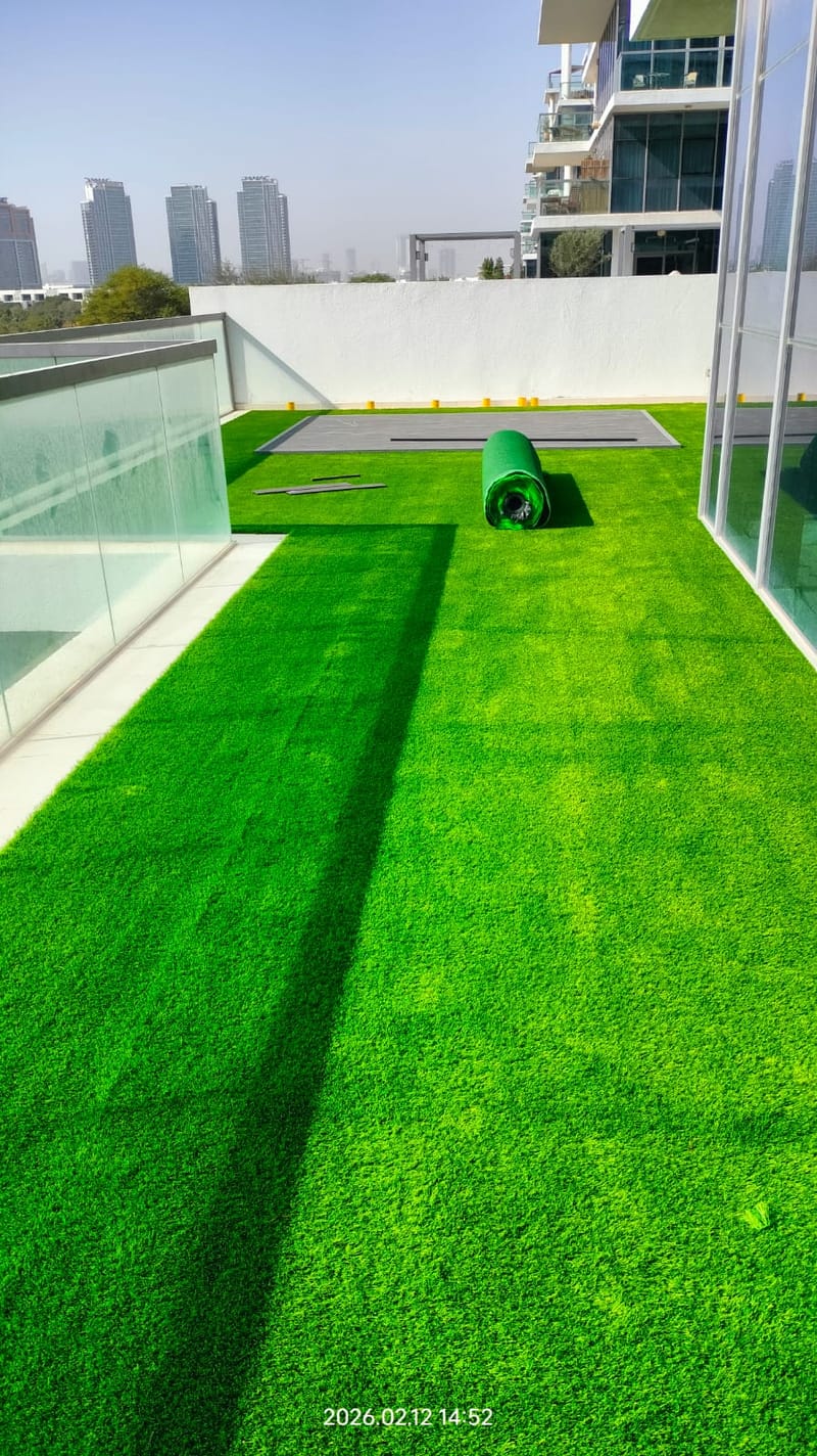 The 365-Day Green: A DreamyDwell Signature Project" 