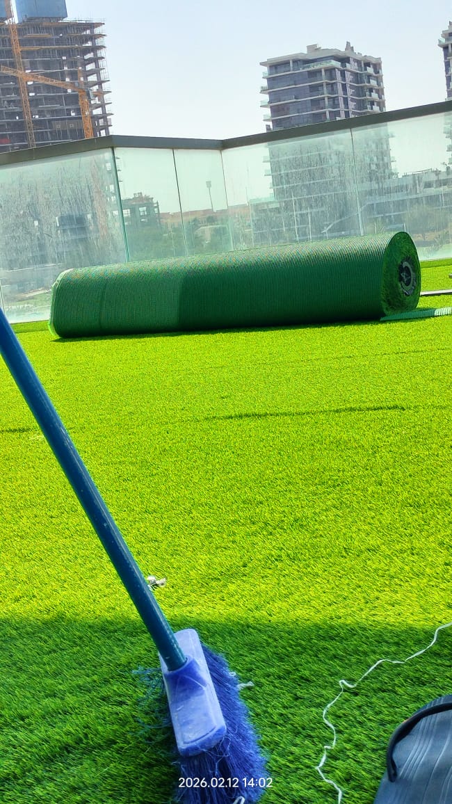 The 365-Day Green: A DreamyDwell Signature Project" 