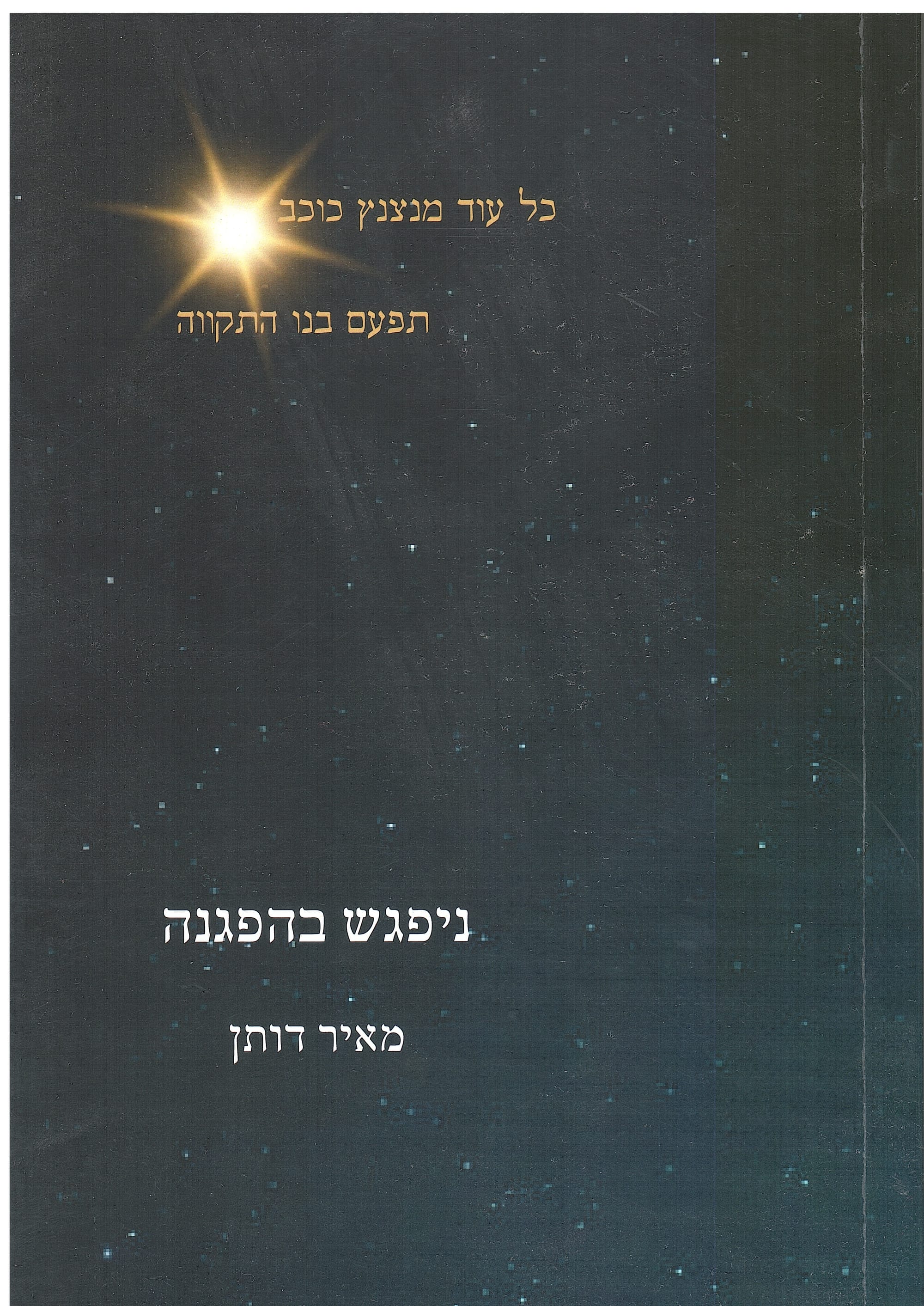 ניפגש בהפגנה מאת מאיר דותן