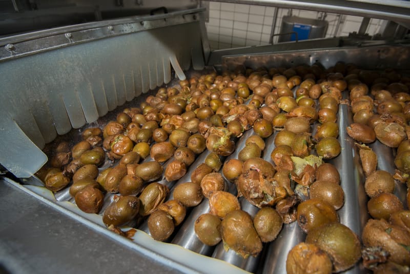 Pulp Machine for Kiwi