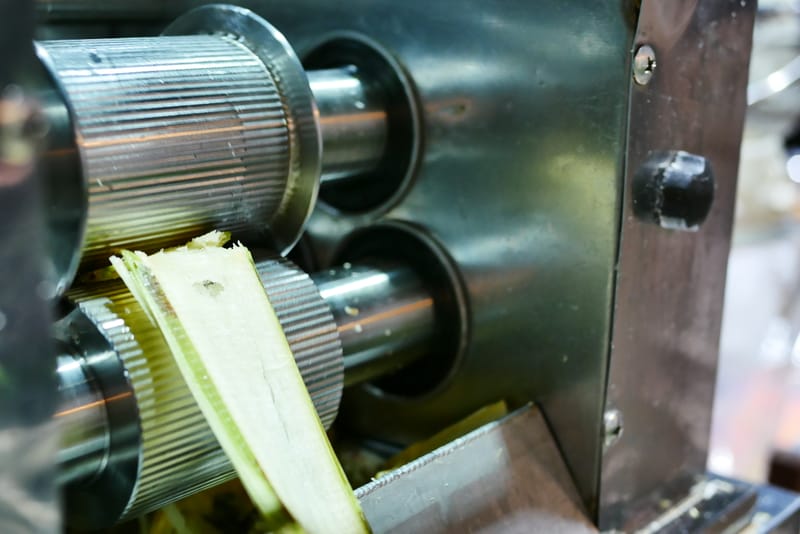 Pulp Machine for Kiwi