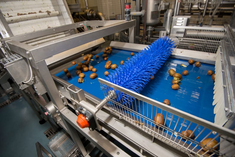 Pulp Machine for Kiwi