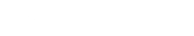 Image N' Style