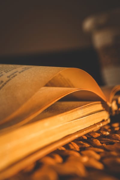 My book reviews: