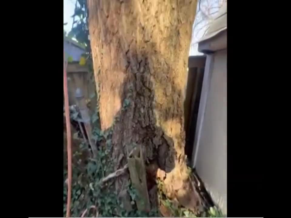 Some Of Our Work thumbnail