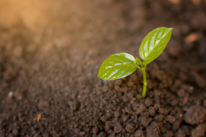 World Soil Day 2024 "Caring for Soils: Measure, Monitor, Manage ...