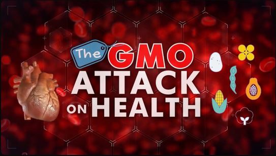 The GMO Attack on Health Part 1