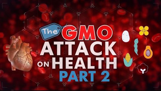 The GMO Attack on Health Part 2