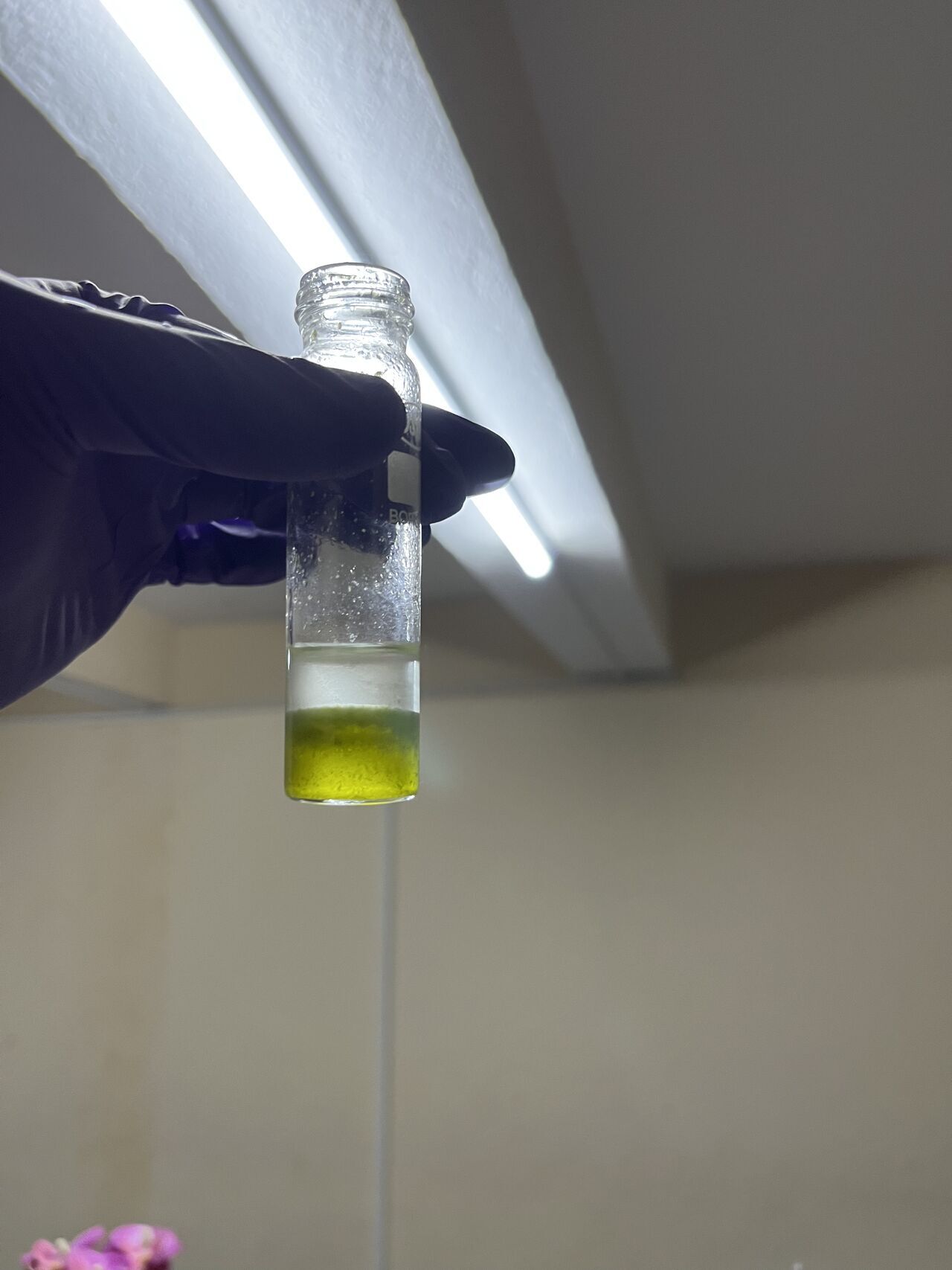 Extraction of lipids