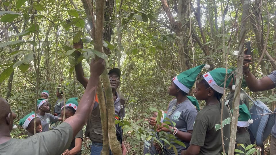 School Nature Club Project
