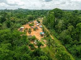 Community Forest Management Project