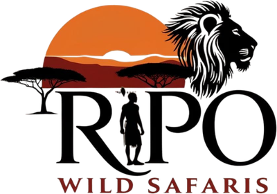 Ripo Wild Safaris