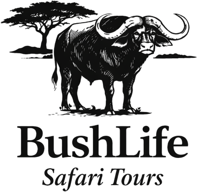 Bushlife safari tour