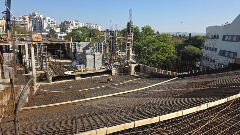 מזמין העבודה: כפר הנוער מוסינזון 