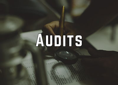 Audit 101 - How to Conduct an Effective Audit & What They Don't Tell You May Happen