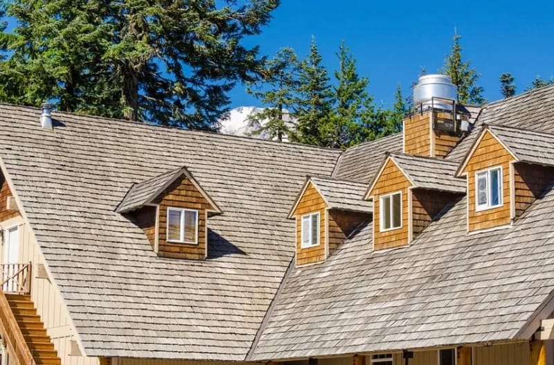 Essential Insights Shaping Today’s Residential Roofing Industry