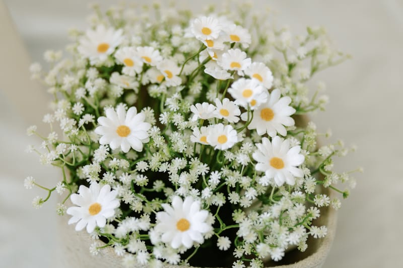 MATERINSKO FOTOGRAFIRANJE