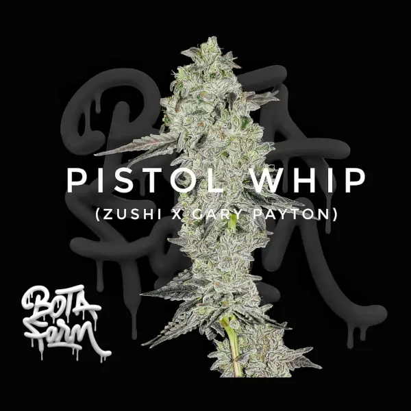 Pistol Whip
