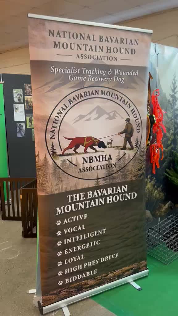 We launched the New Association