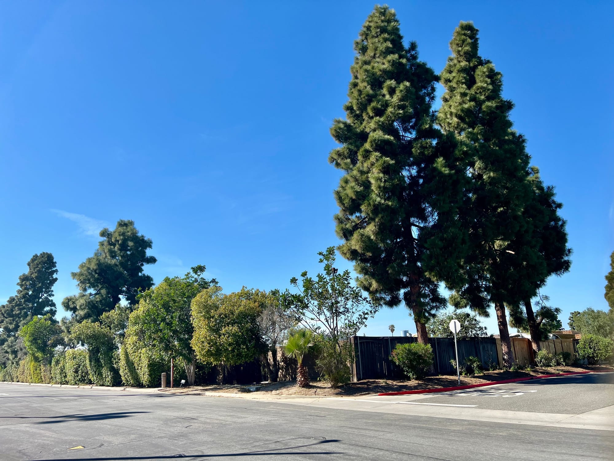 What is happening to the Lumber Yard?