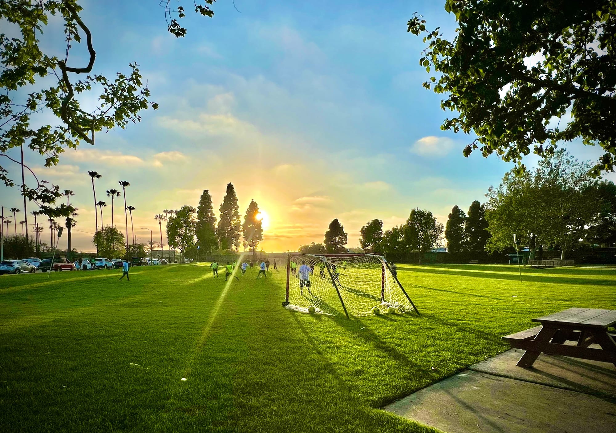 Terry Park 4.81 acres