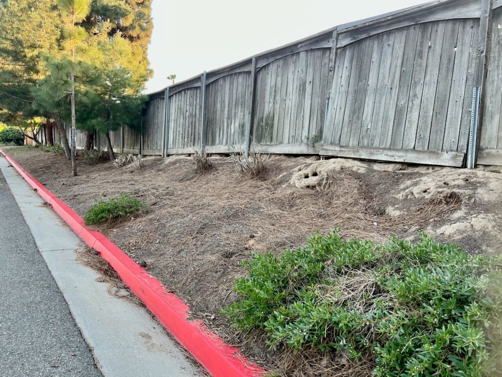 Landscaping and Walls