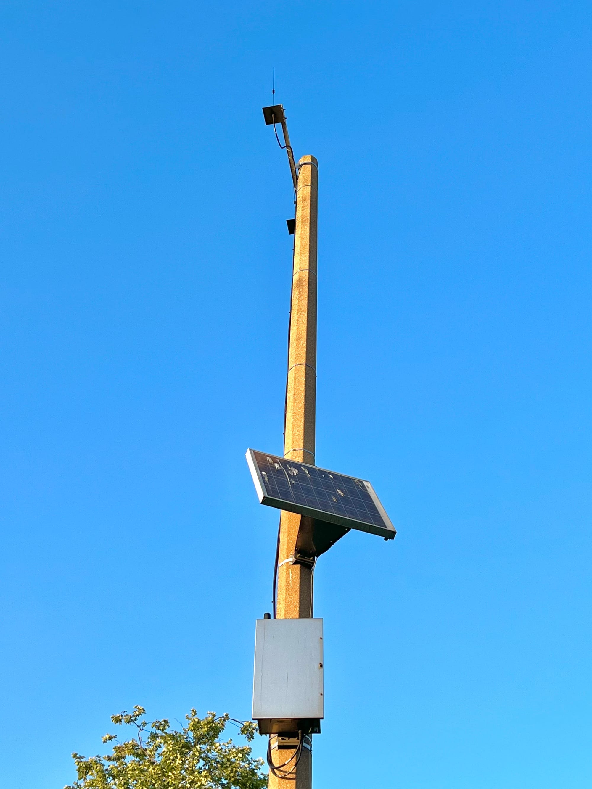 Park Lightpole