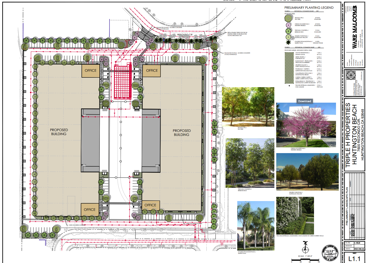 Lack of landscaping details on Taylor