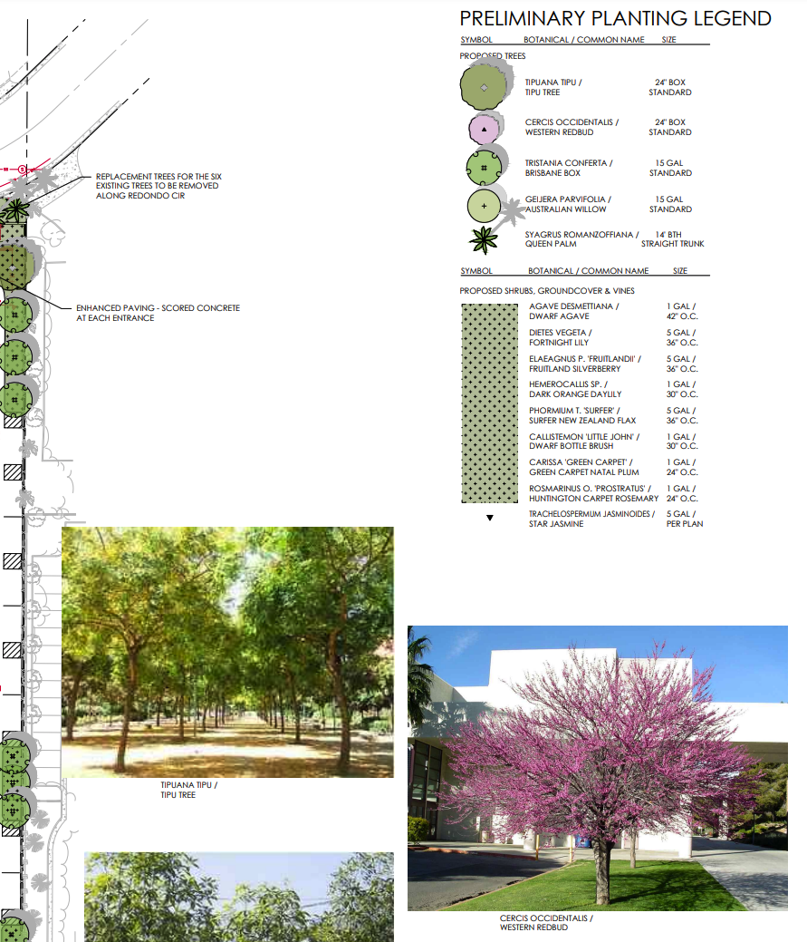 Landscaping on Parkview Lane