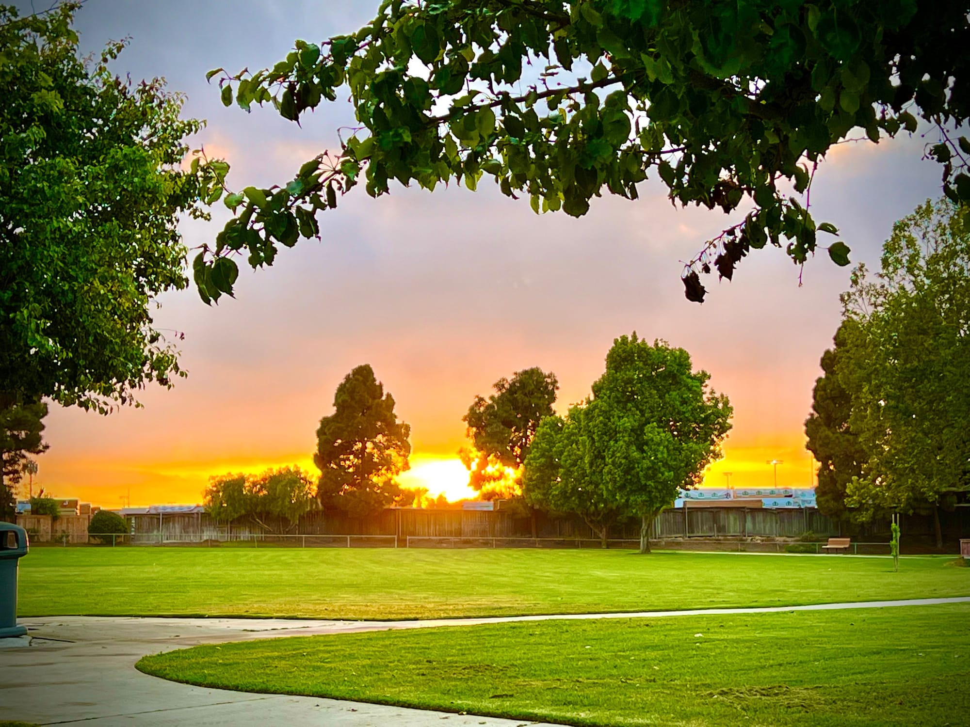 Terry Park CommUNITY unites!