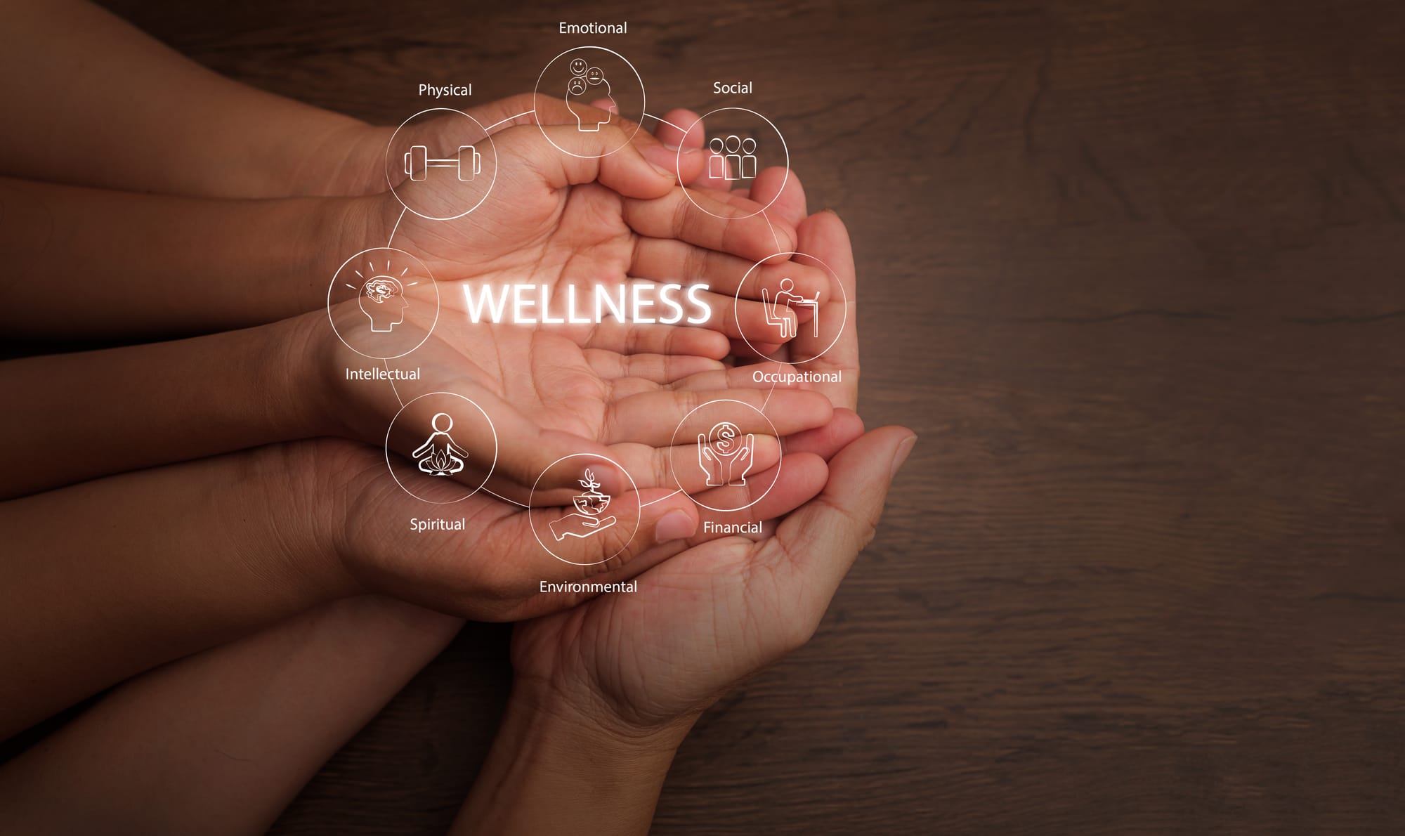 Care, Safety & Wellbeing