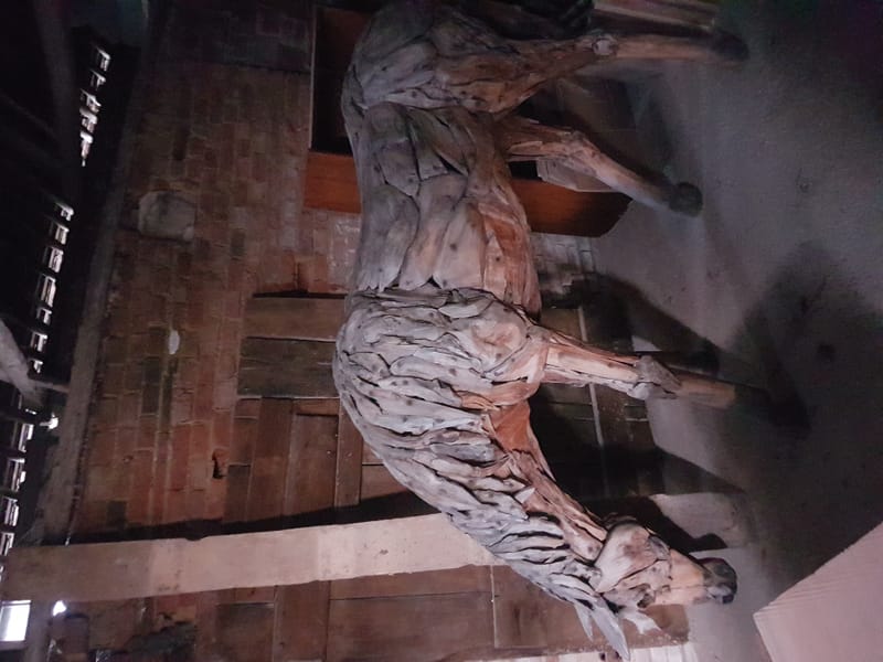 LE JARDIN MERVEILLEUX