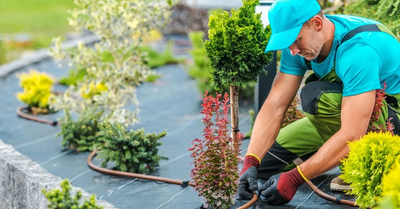 Best Landscaping Company in Riyadh | Expert Garden Design Services