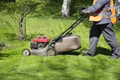 Luxury Landscaping Services in Riyadh | Stunning Outdoor Living