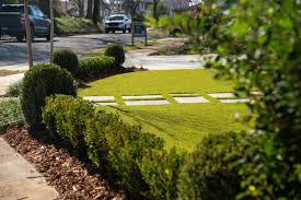 Creative Landscape Design Company Saudi Arabia | Unique Garden Ideas