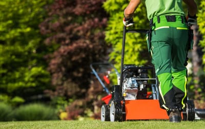 Trusted Landscaping Services in Riyadh for Beautiful Yards