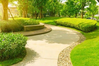 7 Essential Landscaping Services to Enhance Your Riyadh Home