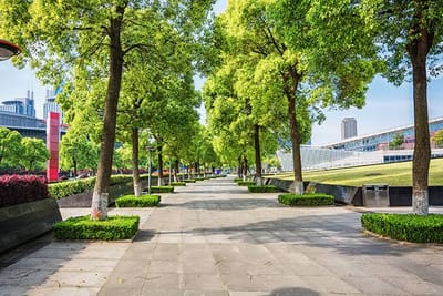 Leading Landscape Contractors Riyadh for Modern Landscapes